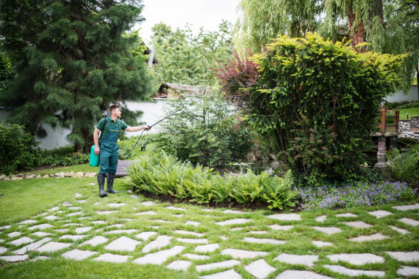 Best Flea Control Services  in Loudoun Lley Estates, VA