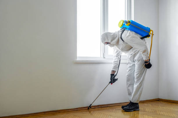 Best Emergency Pest Control  in Loudoun Lley Estates, VA