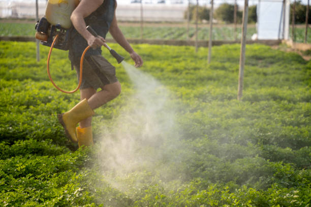 Best Residential Pest Control  in Loudoun Lley Estates, VA