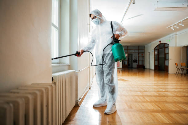 Best Pest Control Near Me  in Loudoun Lley Estates, VA