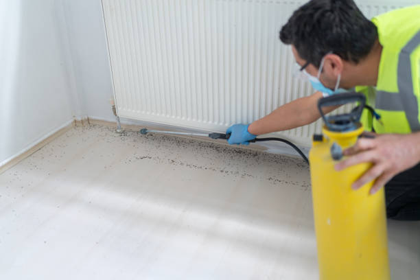 Trusted Loudoun Valley Estates, VA Pest Control Experts